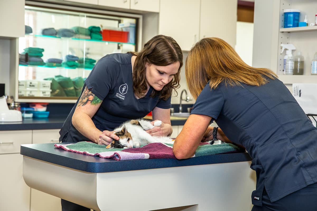 Frankenmuth-Birch Run Veterinary Hospital