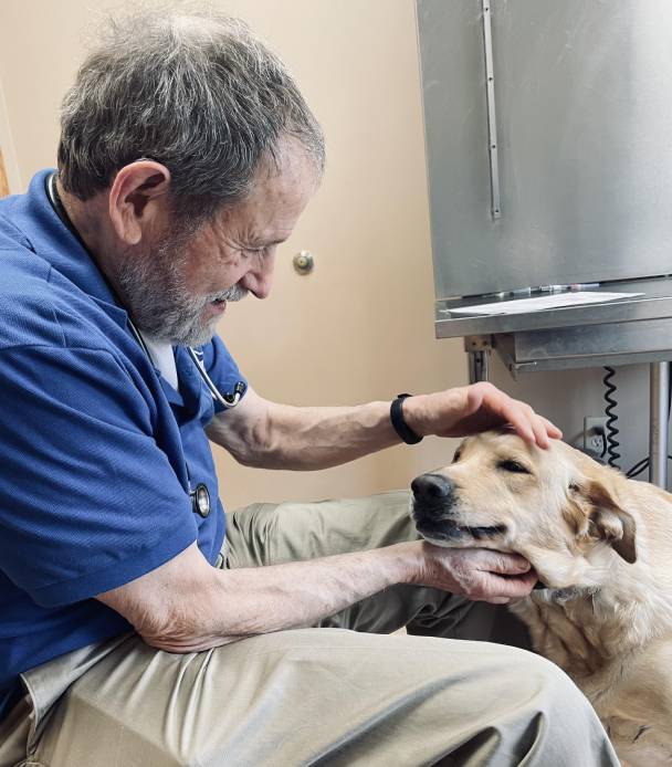 Haskell Valley Veterinary Clinic