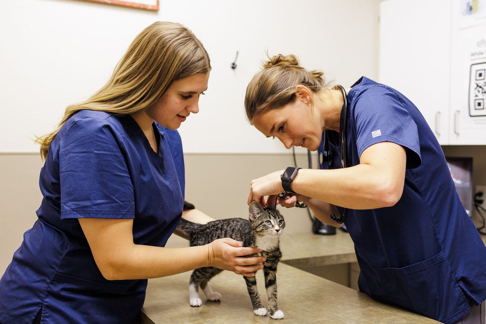 Lake Geneva Animal Hospital