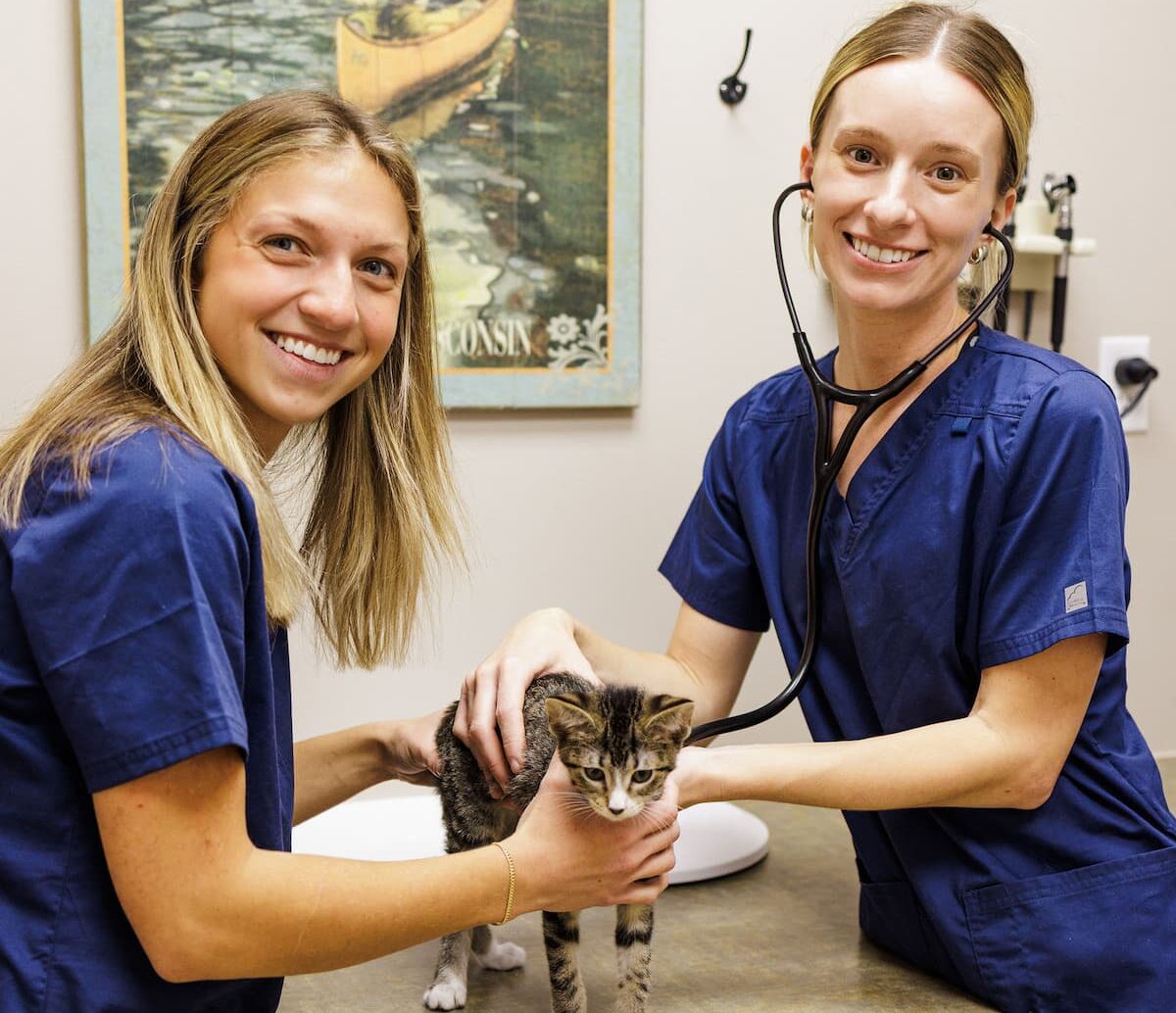 Lake Geneva Animal Hospital