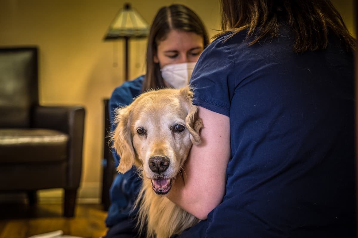 Mountain Vet to Pet