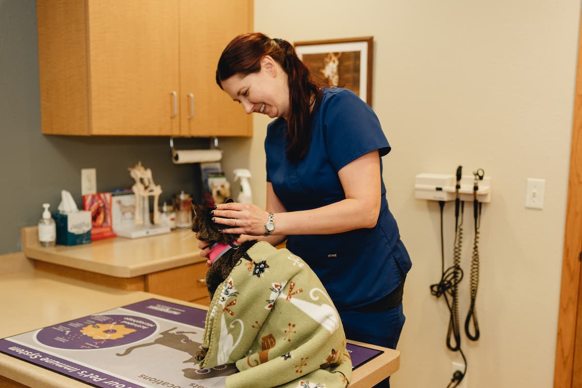 Northern Paws Animal Hospital