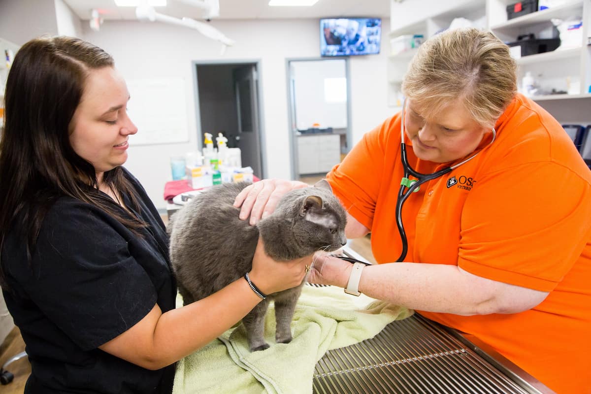 Osage Veterinary Clinic