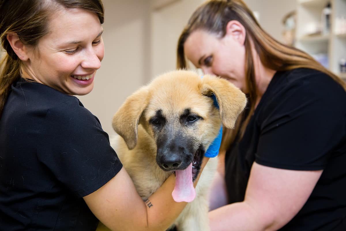 Osage Veterinary Clinic