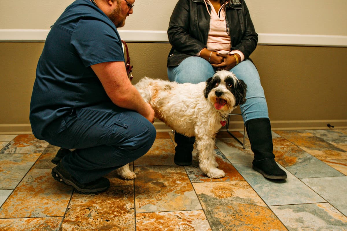 Ouachita Pet Clinic