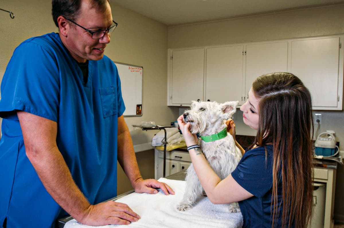 Ouachita Pet Clinic