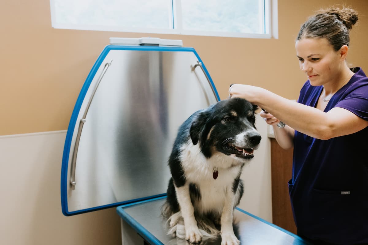 Pine River Veterinary Clinic