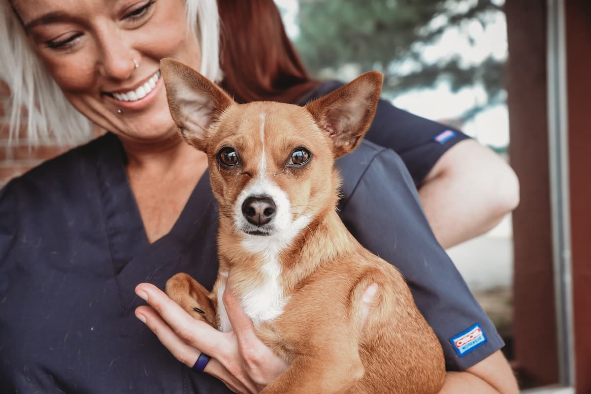 Plattsburg Animal Clinic