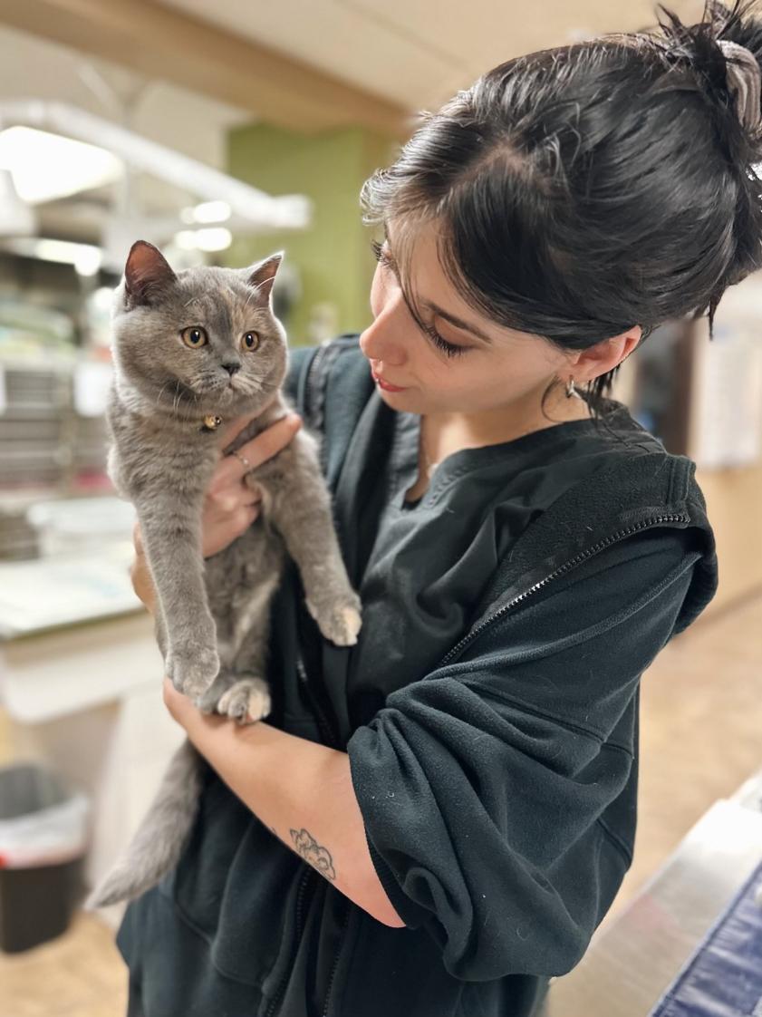 River Road Animal Hospital