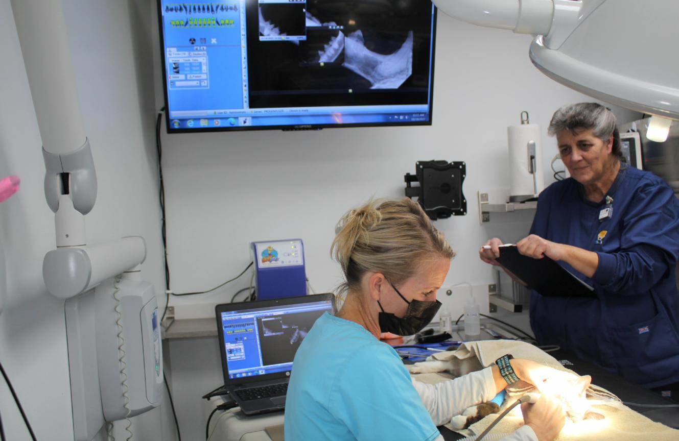 Rocky River Animal Hospital