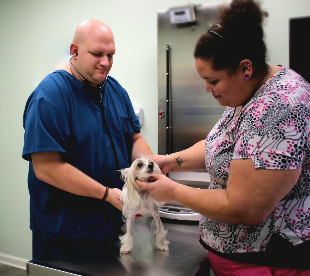 South Side Flats Animal Hospital