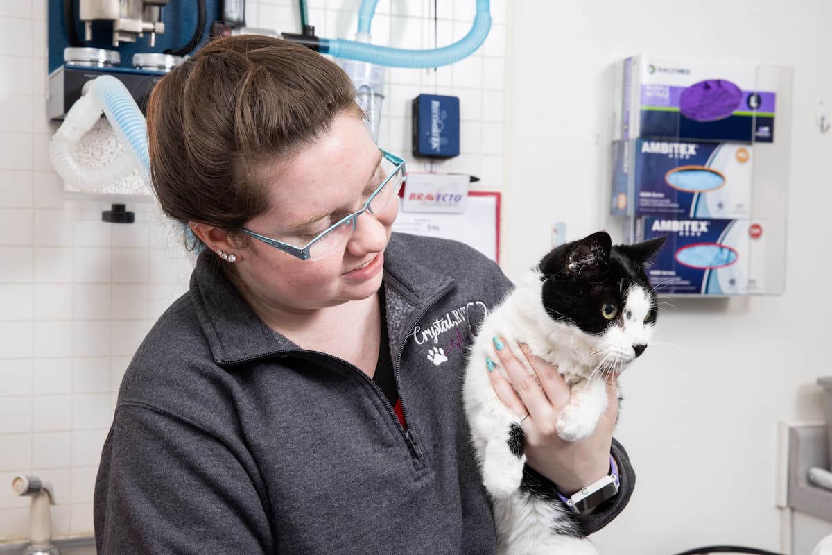 Spring Hill Veterinary Clinic