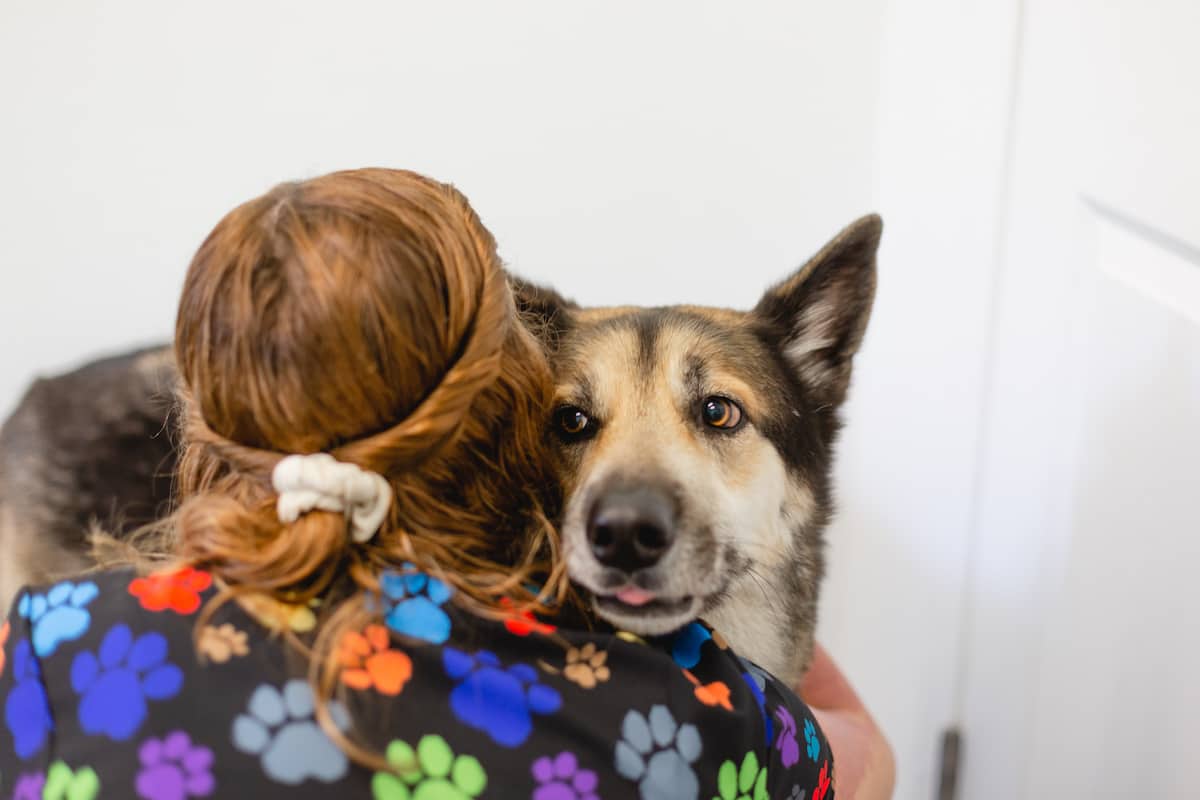 Straley Veterinary Clinic