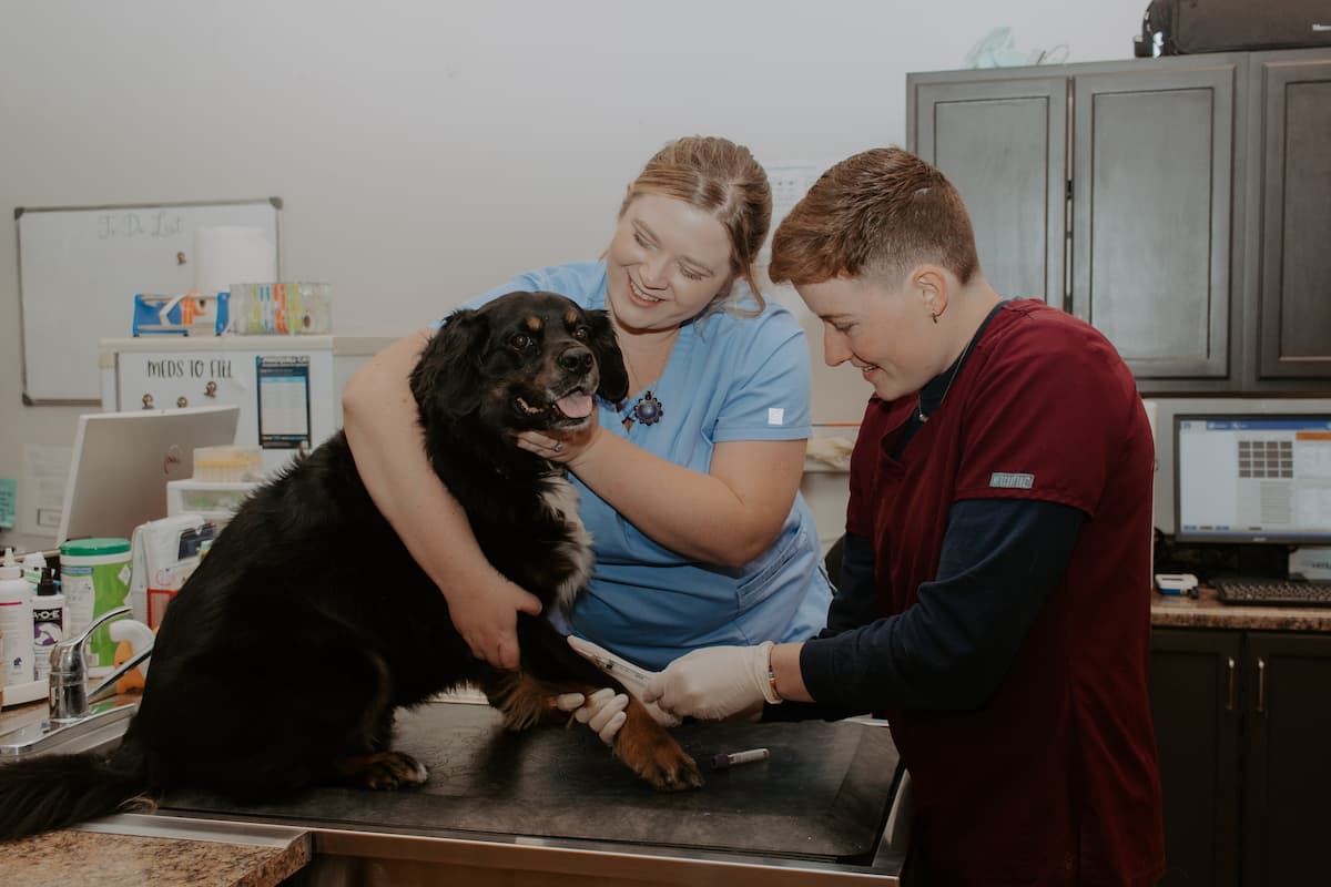 Superior Vet Care