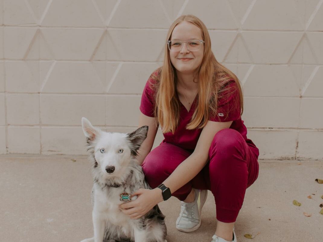 Superior Vet Care
