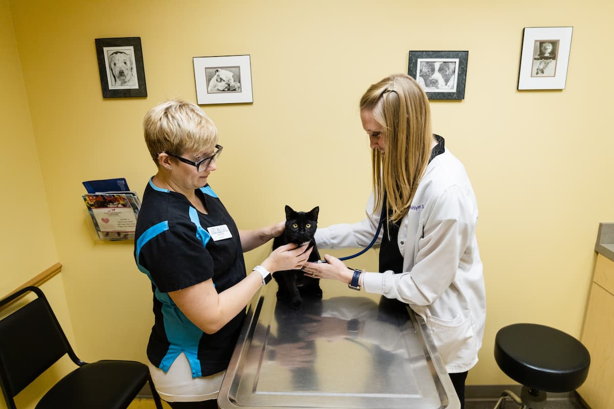 Tender Care Animal Hospital