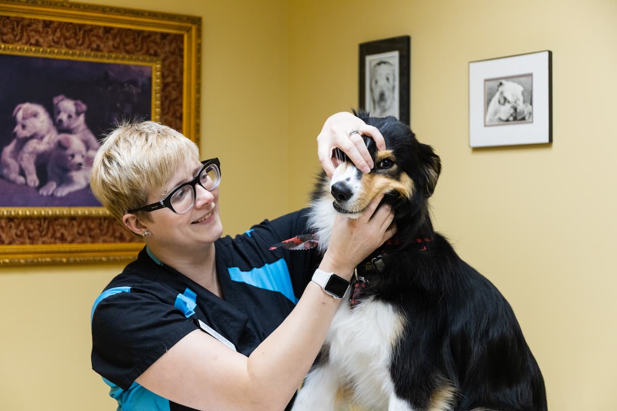 Tender Care Animal Hospital