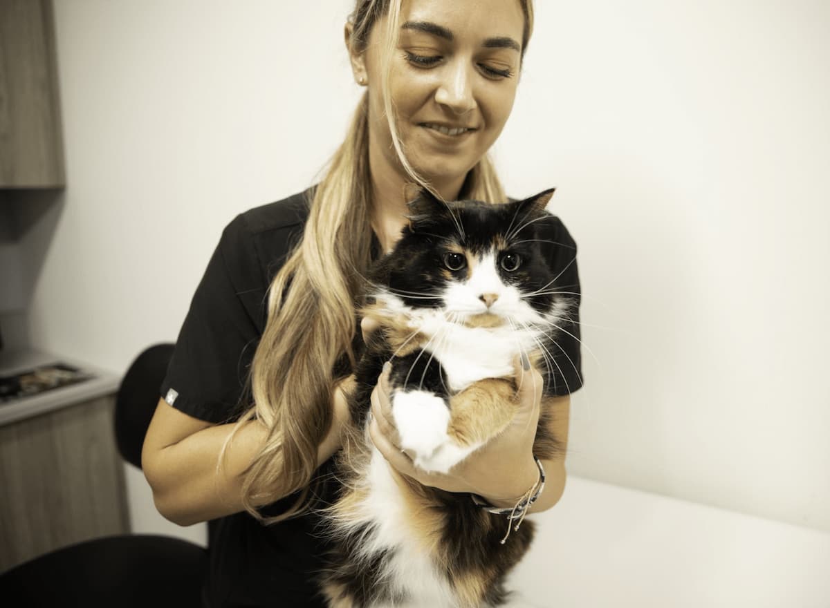 The Country Animal Hospital