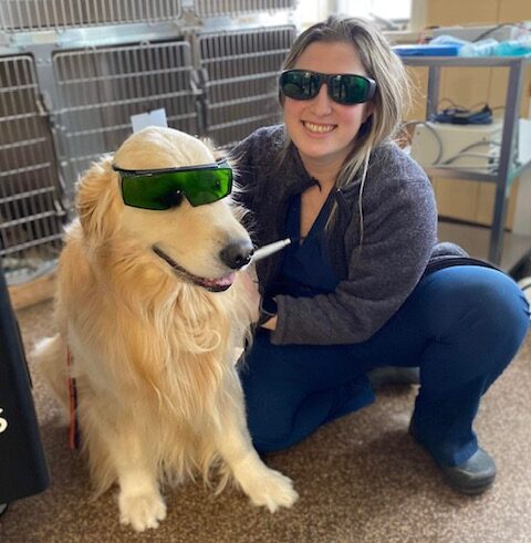 Valley Veterinary Services