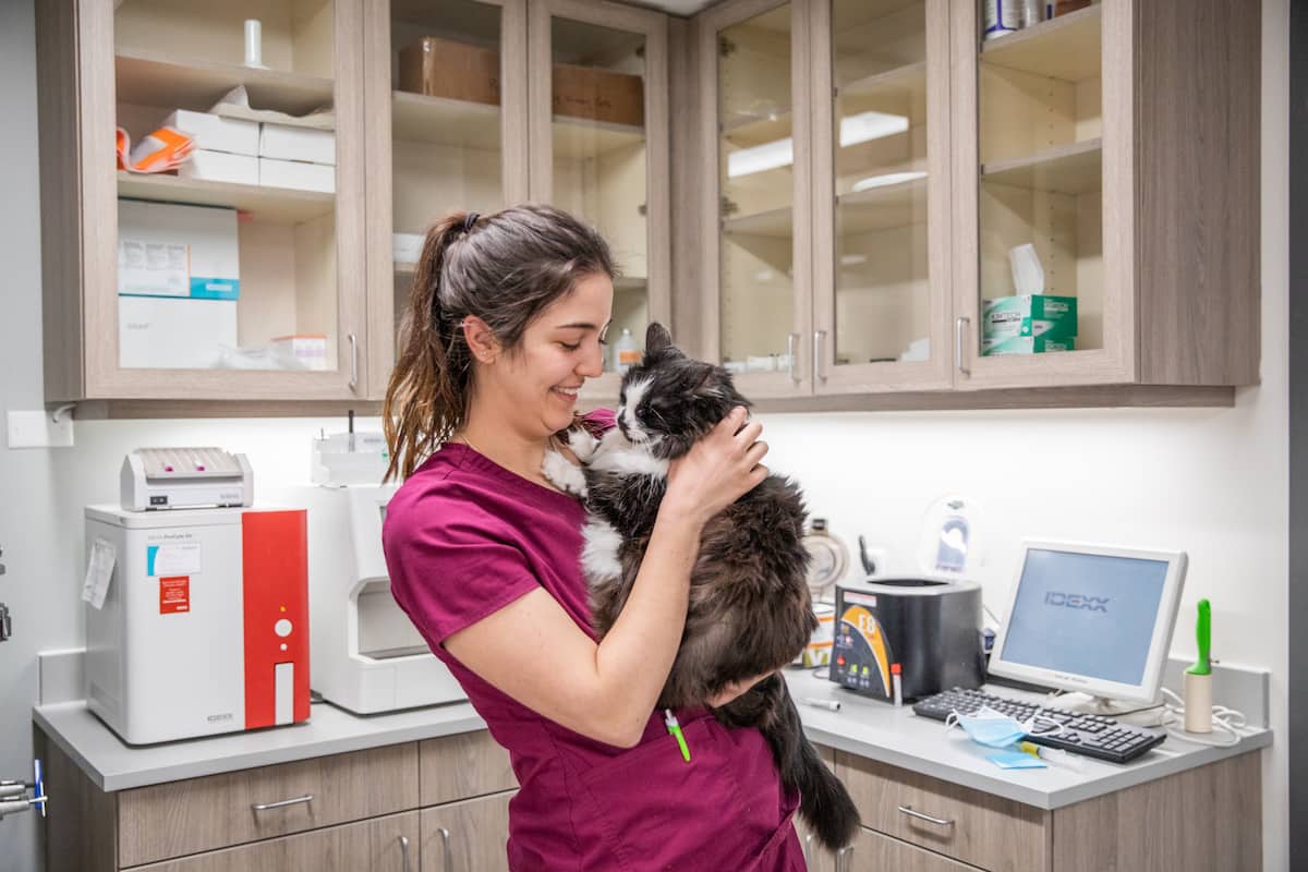 Vet Stop Animal Hospital, St. Peters