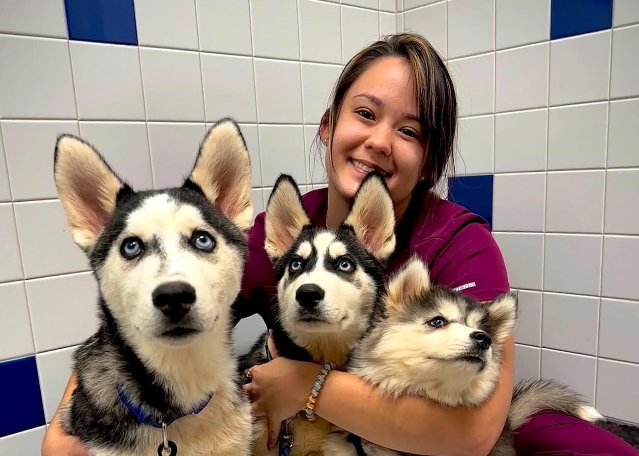 Woodworth Animal Hospital