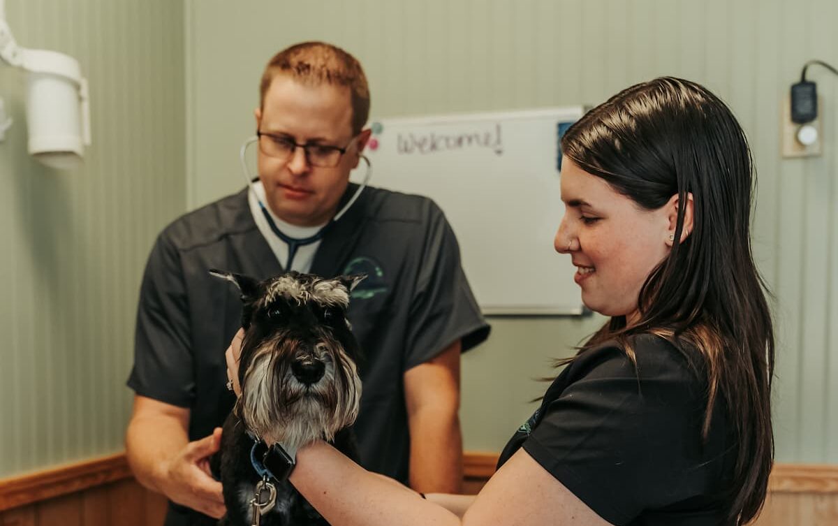 Wright City Veterinary Clinic