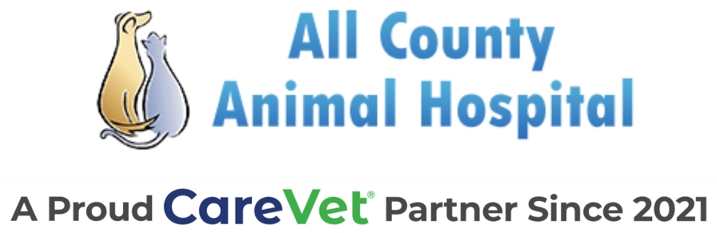 All County Animal Hospital logo
