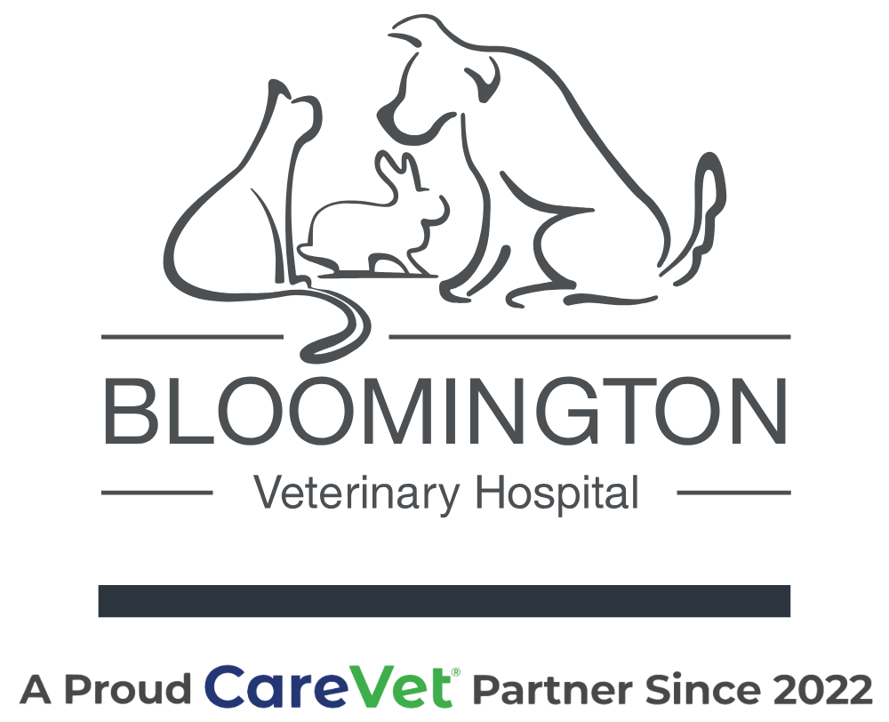 Bloomington Veterinary Hospital logo