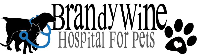 Brandywine Hospital for Pets logo