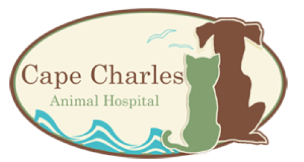 Cape Charles Animal Hospital logo