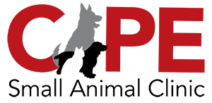 Cape Small Animal Clinic logo