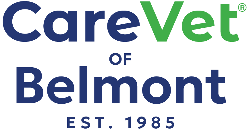 CareVet of Belmont logo