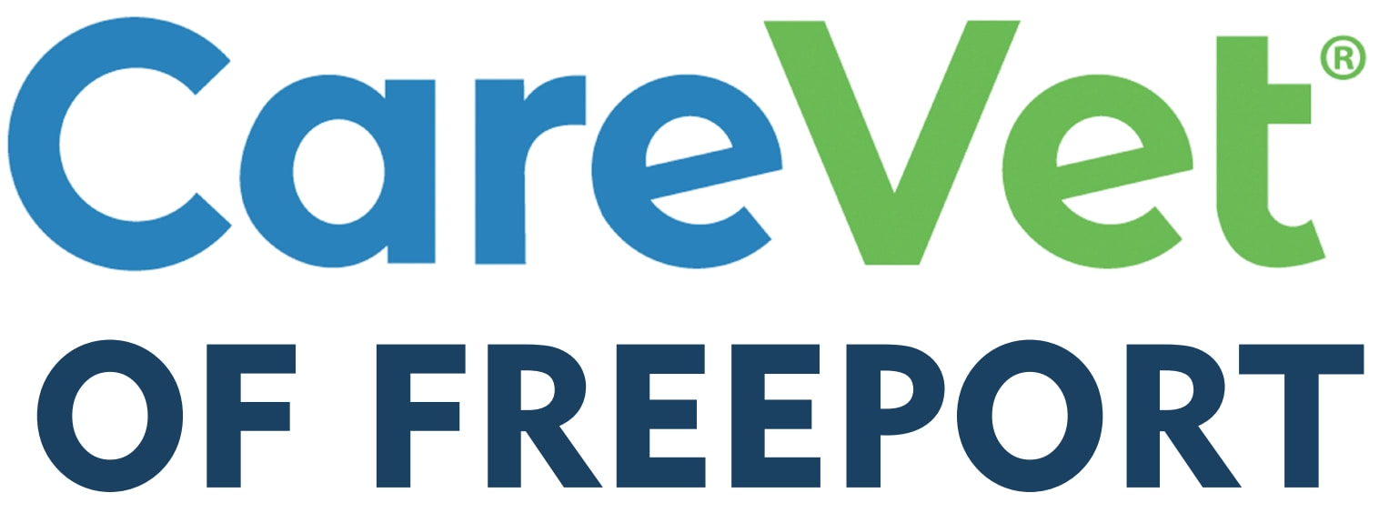CareVet of Freeport logo