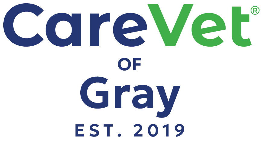 CareVet of Gray logo