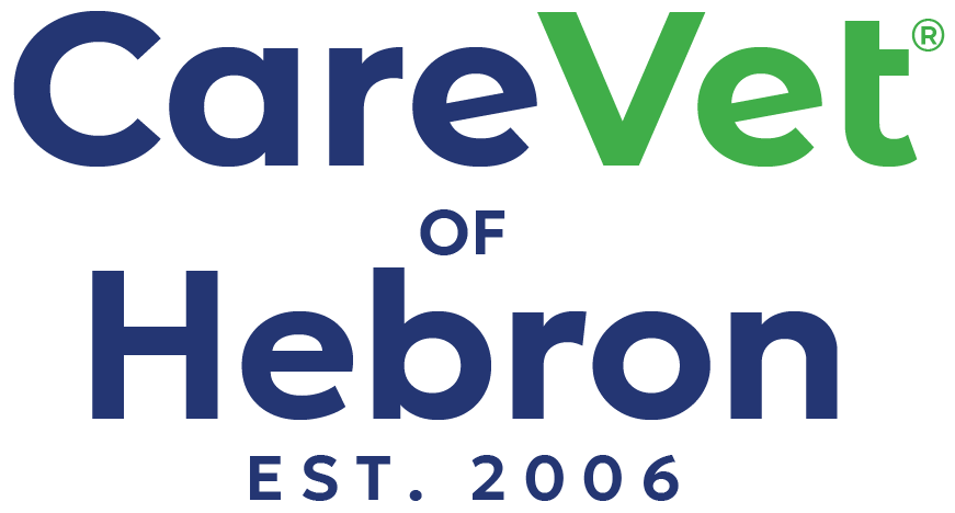 CareVet of Hebron logo