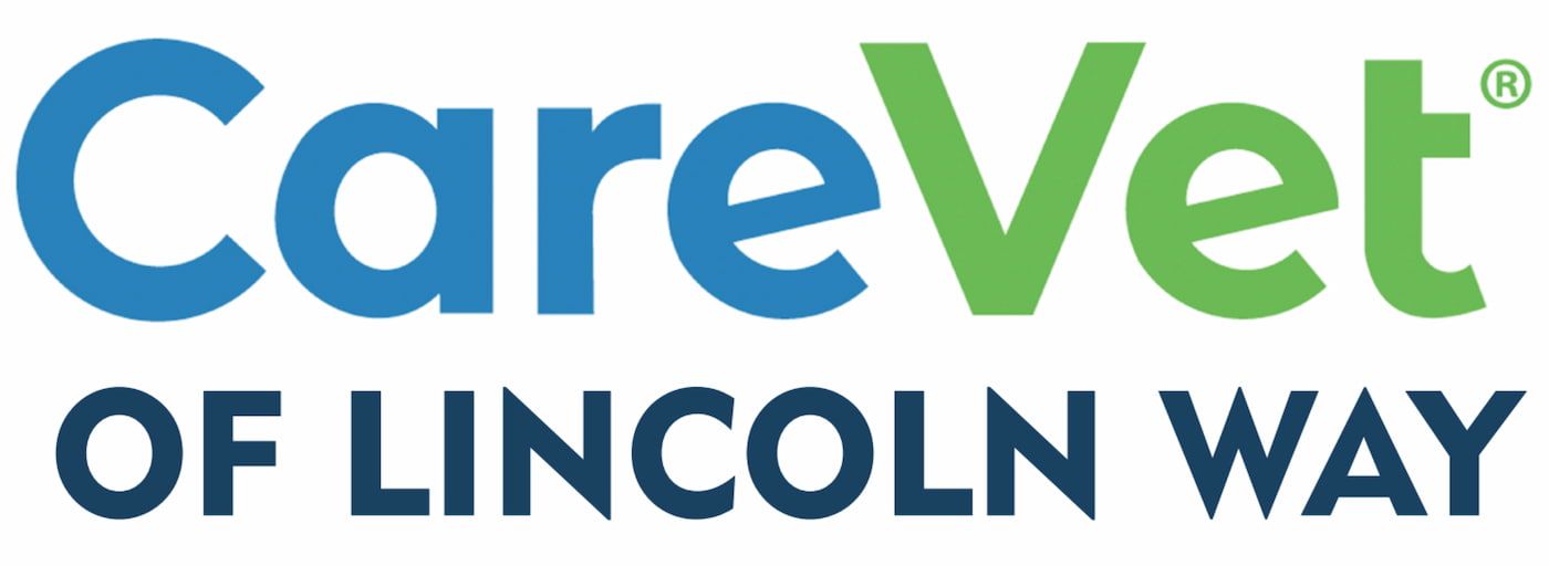 CareVet of Lincoln Way logo