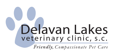 Delavan Lakes Veterinary Clinic logo