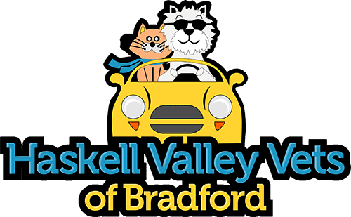 Haskell Valley Vets of Bradford logo