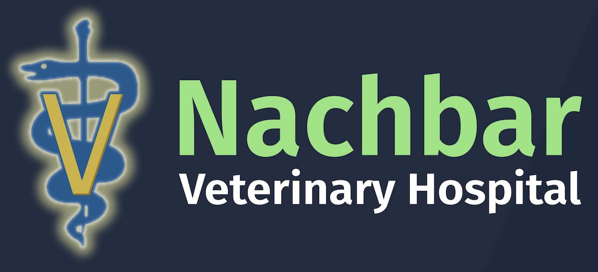 Nachbar Veterinary Hospital logo