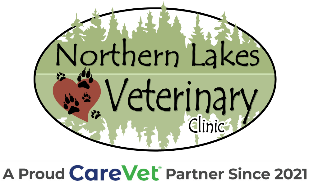 Northern Lakes Veterinary Clinic logo