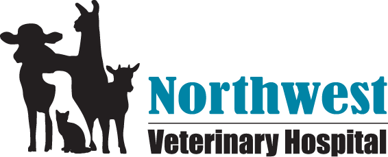 Northwest Veterinary Hospital logo