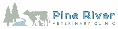 Pine River Veterinary Clinic logo