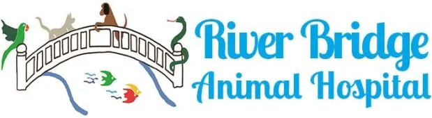 River Bridge Animal Hospital logo