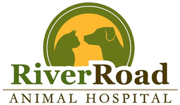 River Road Animal Hospital logo