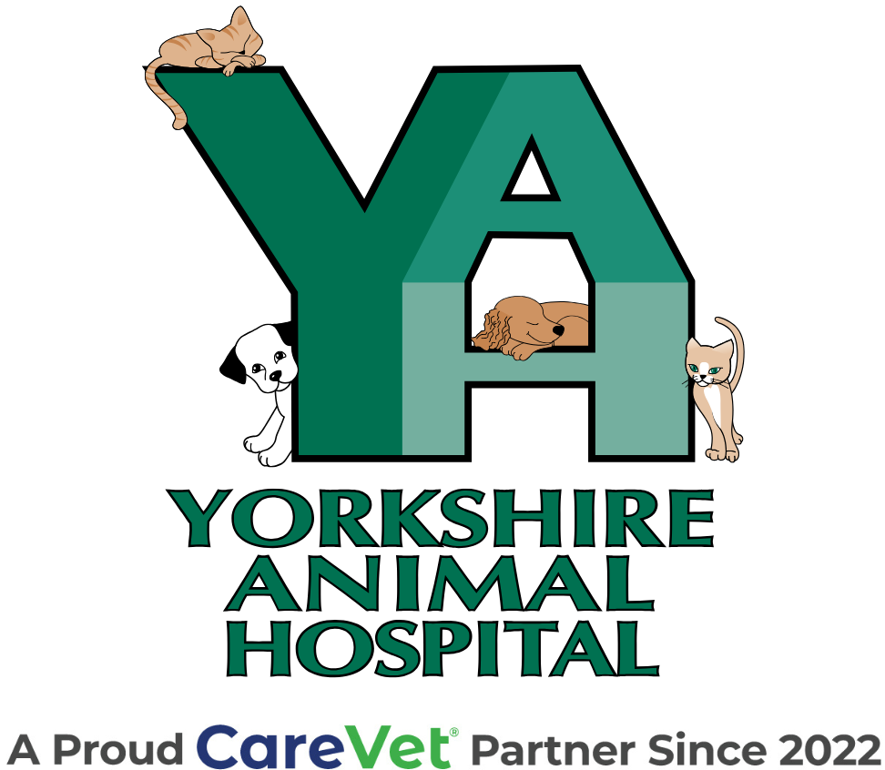 Yorkshire Animal Hospital logo