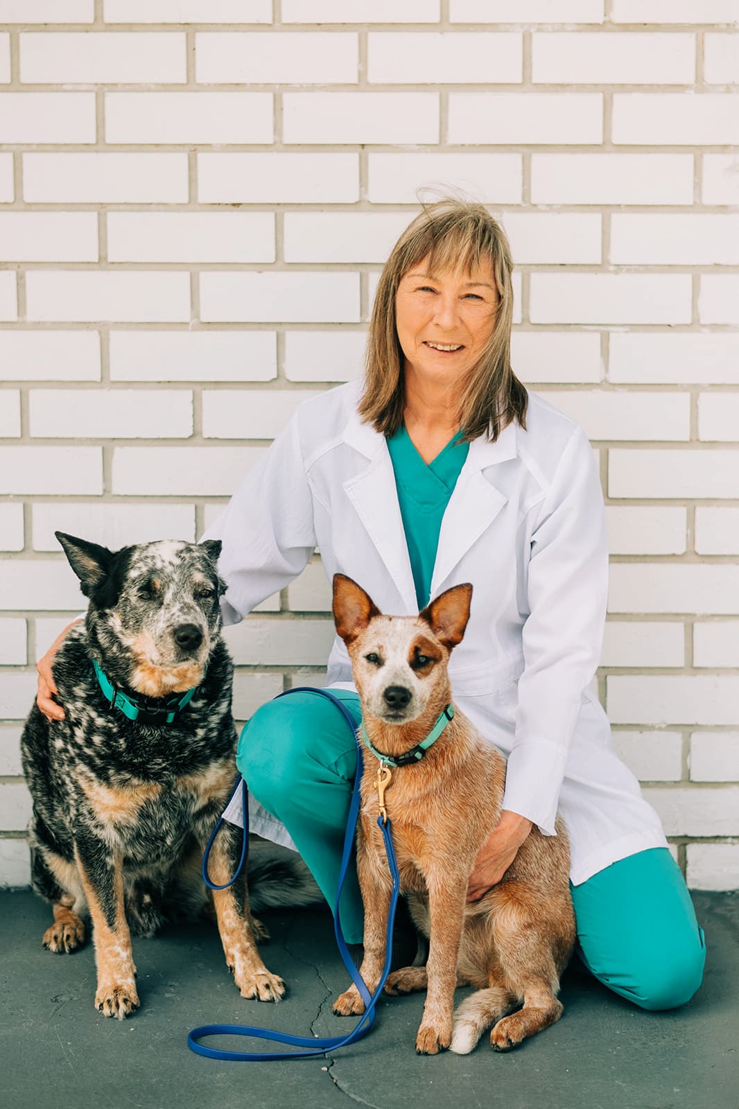 Dr. Carol A. Marusak