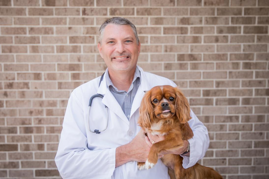 Dr. Michael Gass