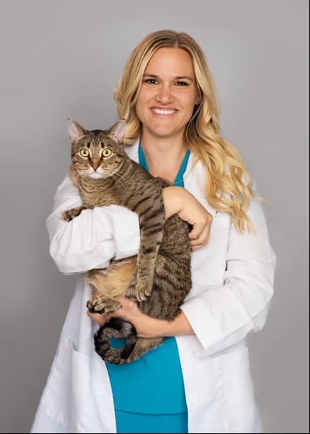 Dr. Allison O'Connor