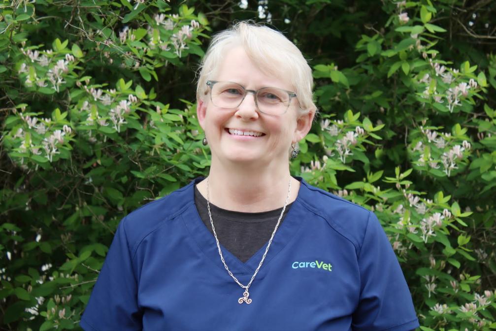 Dr. Lynne Hyde Cartee