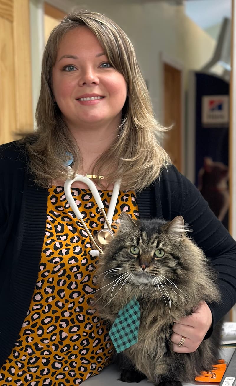 Dr. Deanna Anderson